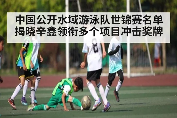 中国公开水域游泳队世锦赛名单揭晓辛鑫领衔多个项目冲击奖牌(KAIYUN)