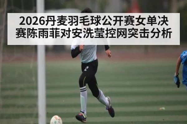 2026丹麦羽毛球公开赛女单决赛陈雨菲对安洗莹控网突击分析